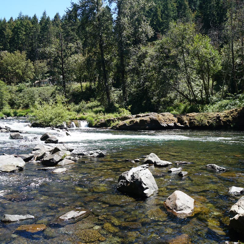 swimming hole
