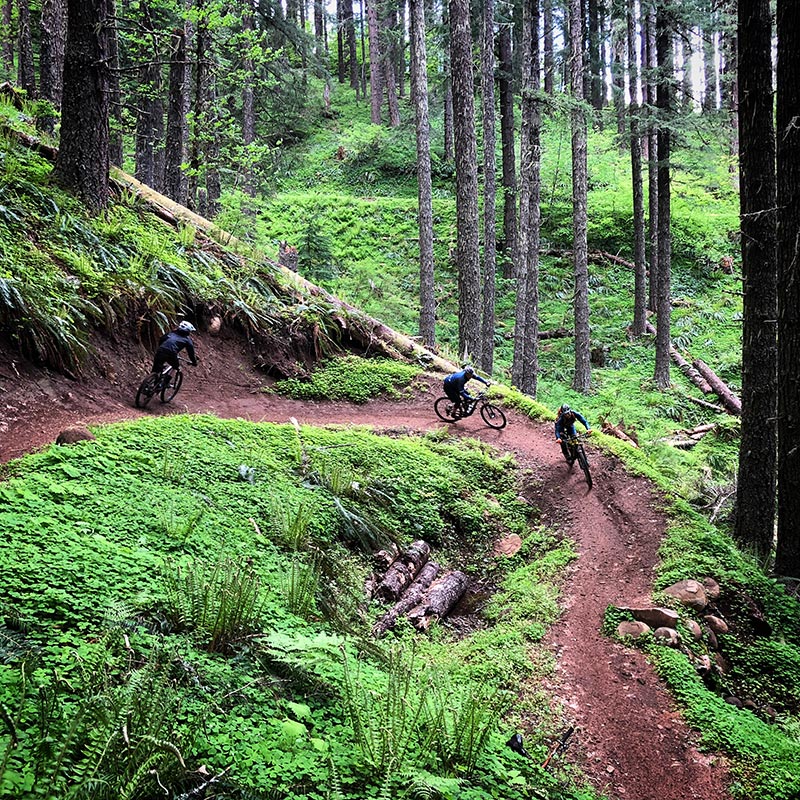 mountain bikers on trail
