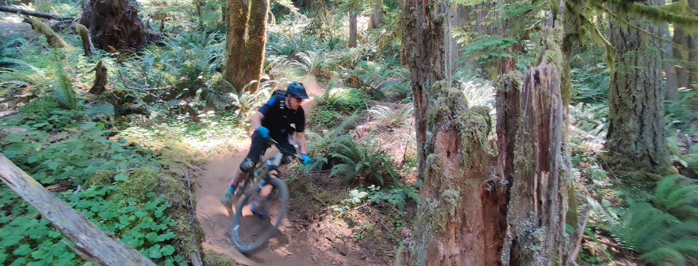 Gallery Westfir, OR Mountain Bike Oregon